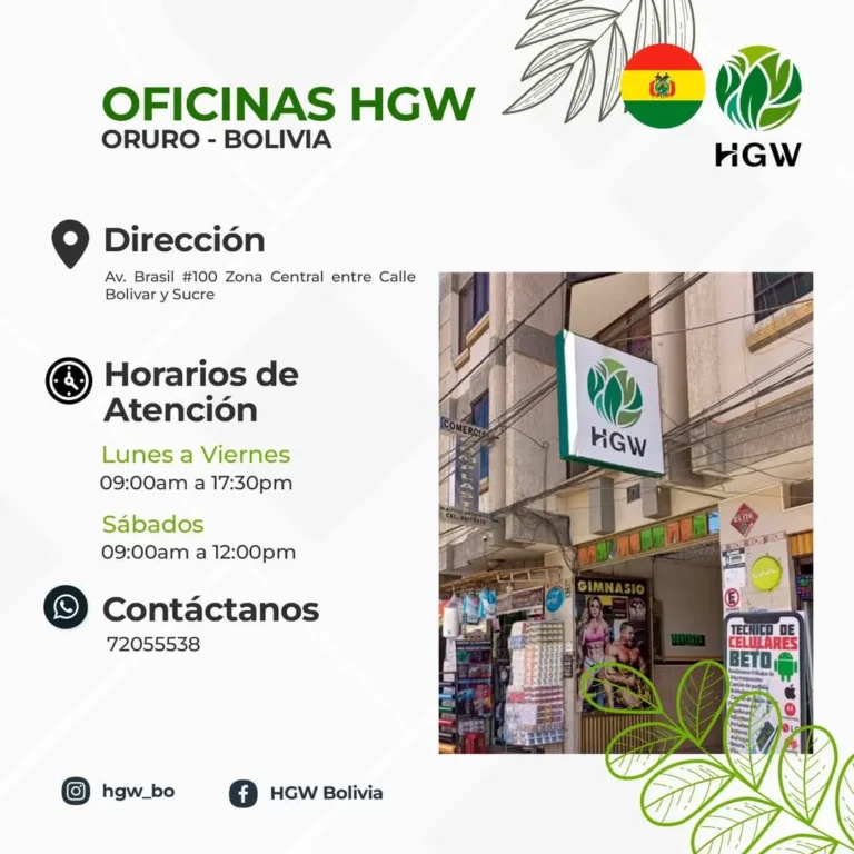 Oficina HGW en Oruro 8