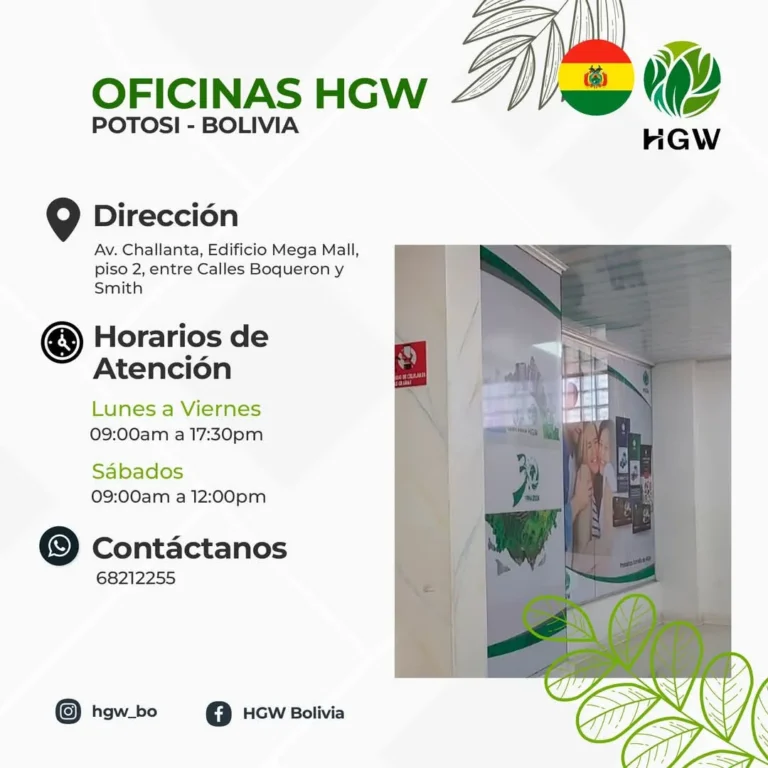Oficina HGW en Potosi 6