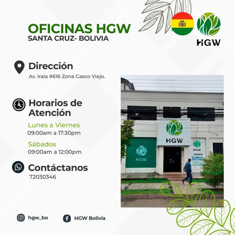 Oficina HGW en Santa Cruz 2