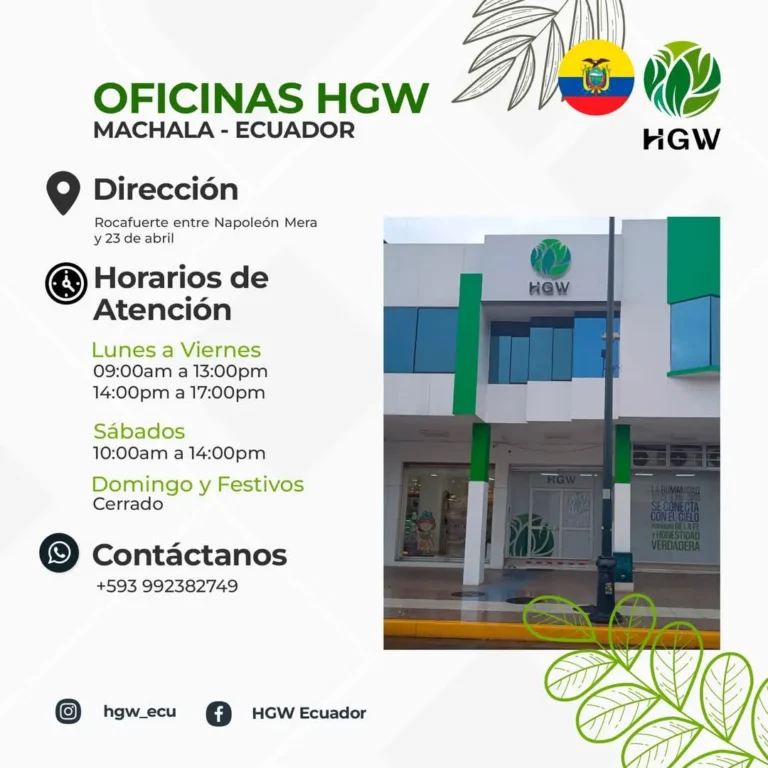 Oficina HGW en Machala 4