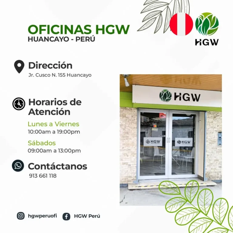 Oficina HGW en Huancayo 4