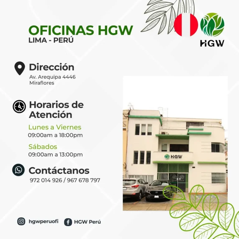 Oficina HGW en Lima