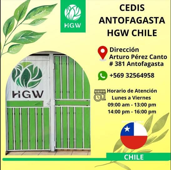 Chile cedis-antofagasta- arturo perez